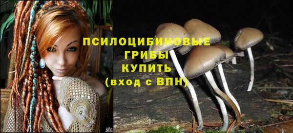 jwh Новодвинск