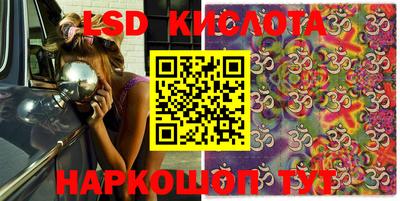 крисы Гагарин