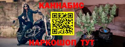 эйфоретик Гатчина