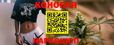 метадон Гай