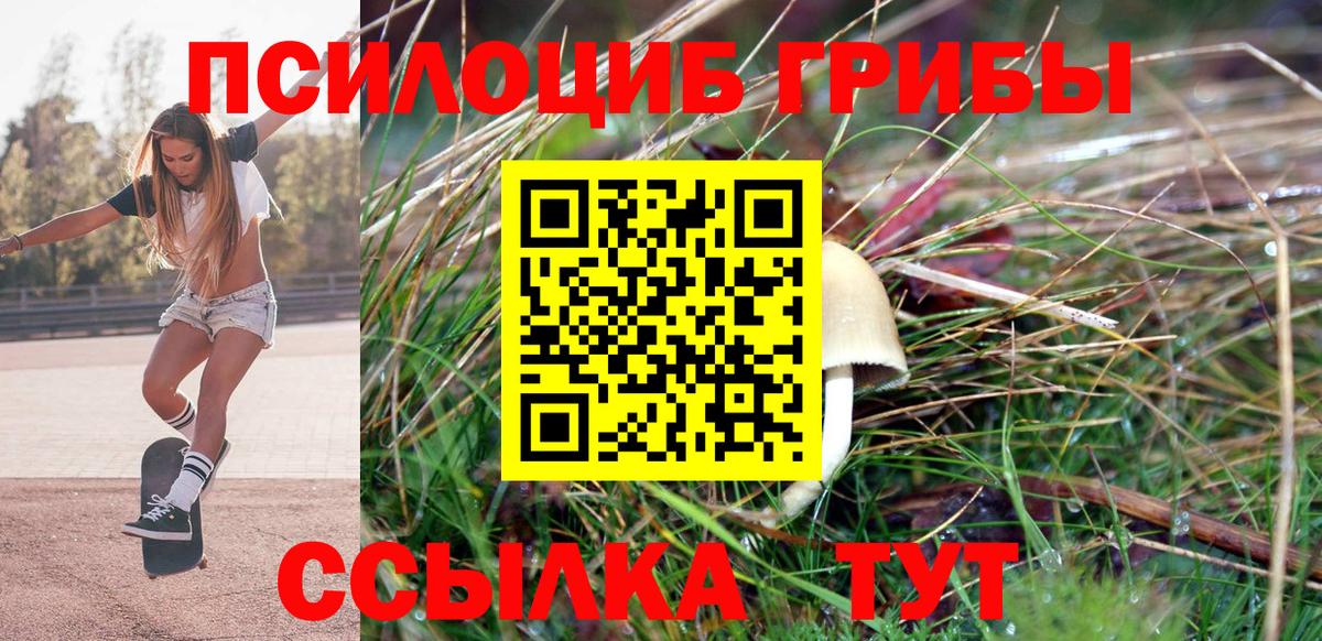Псилоцибиновые грибы GOLDEN TEACHER  Вход с VPN  Домодедово  Псилоцибиновые грибы Psilocybine cubensis 