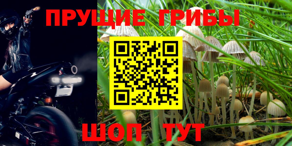даркнет сайт  Домодедово  Псилоцибиновые грибы мухоморы 