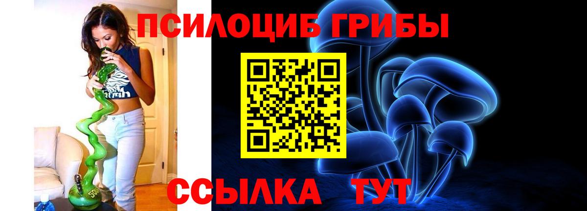Псилоцибиновые грибы мухоморы Домодедово